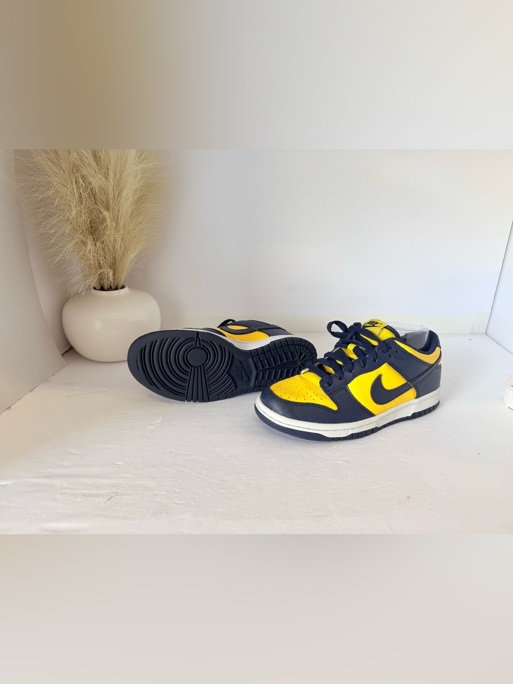 116. Nike dunk Low Michigan colorway size 5 youth or 7 women